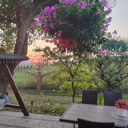 Apartamenty U Maksa Krzywcza المظهر الخارجي الصورة